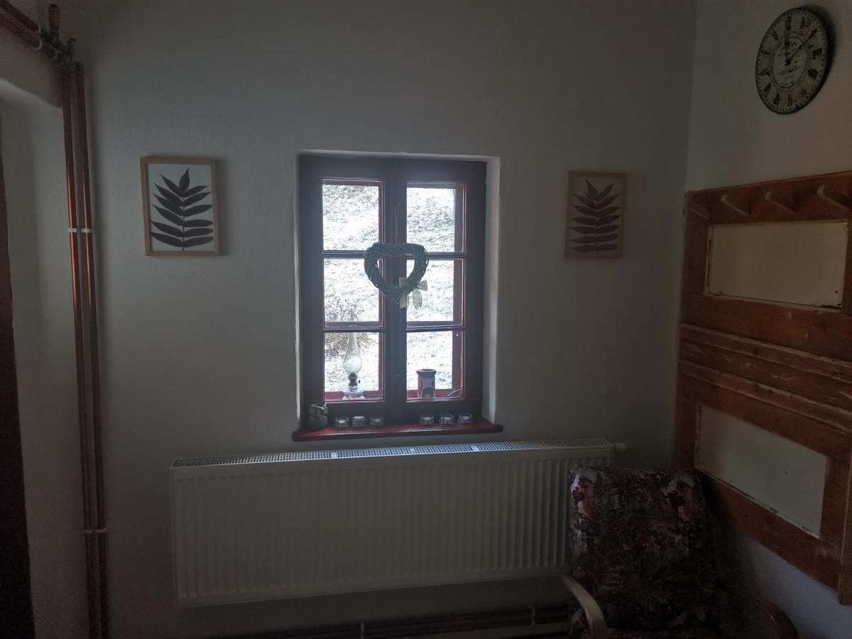 Apartment U Pacu