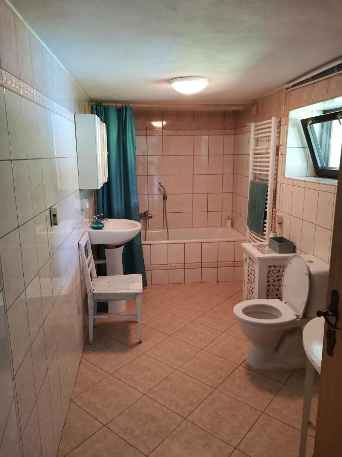 Apartment U Pacu *